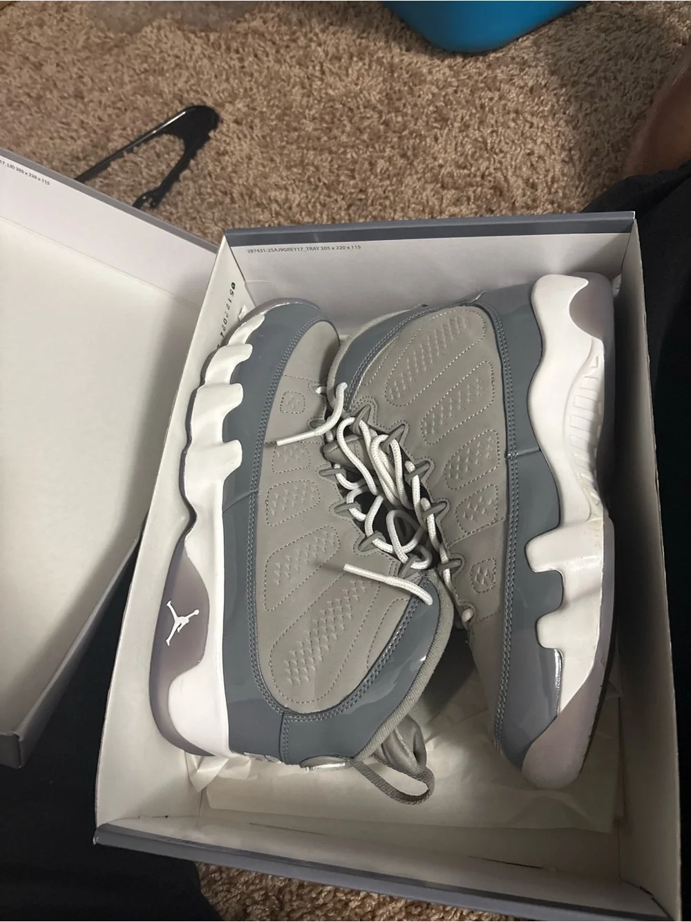 Air Jordan Retro 9